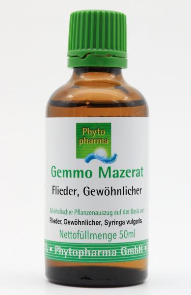 Gemmo Mazerat Flieder, Gewöhnlicher (Syringa vulgaris)